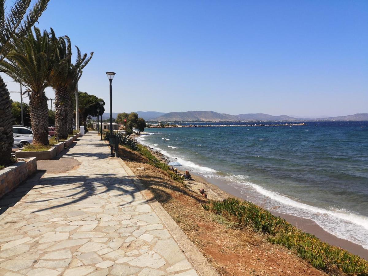 Aegean Sea Home Néa Mákri Zewnętrze zdjęcie