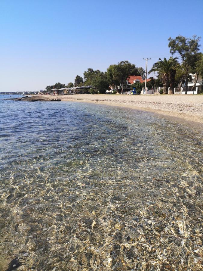 Aegean Sea Home Néa Mákri Zewnętrze zdjęcie